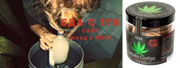СК Бердск