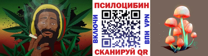 Галлюциногенные грибы мухоморы  мега ONION  Губаха 