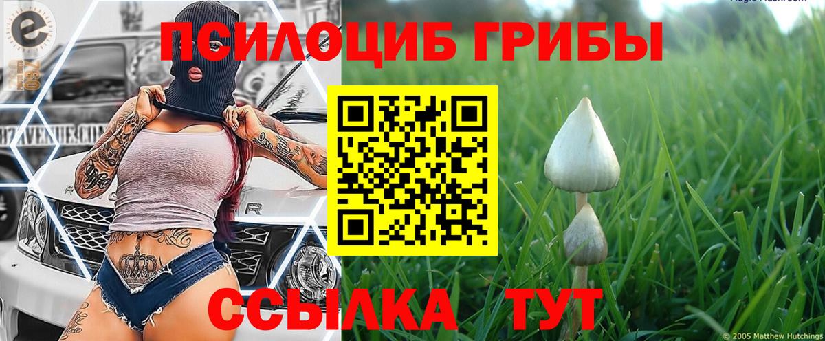 Псилоцибиновые грибы мухоморы  Вход с VPN  сколько стоит  Губаха 