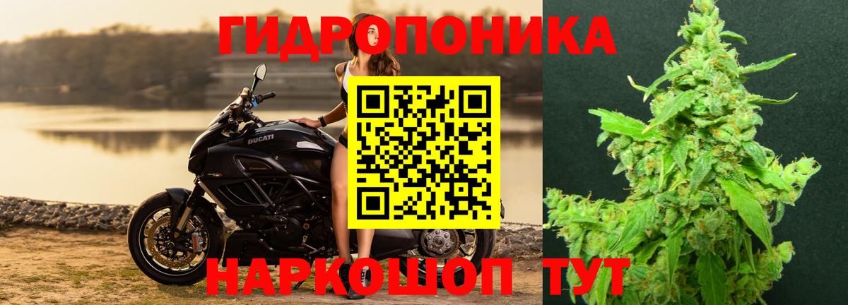 МАРИХУАНА SATIVA & INDICA Губаха